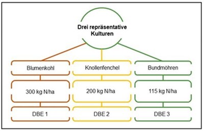 DBE nach Stickstoffbedarf