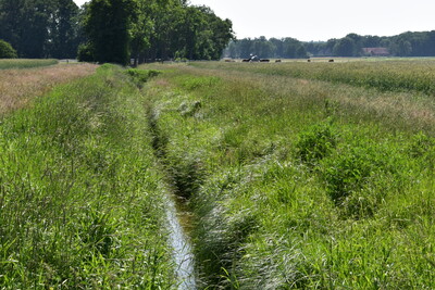 Gewässerrandstreifen Gewässer 2. Ordnung - © Nora Kretzschmar Gewässerrandstreifen Gewässer 2. Ordnung