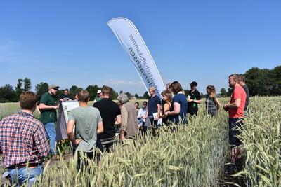 Feldtag Wehnen 2019