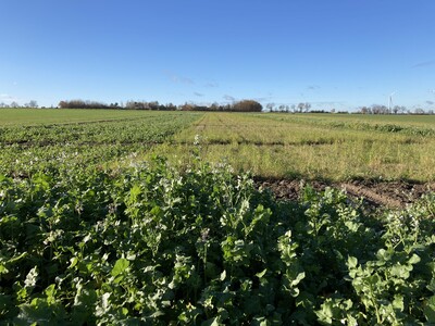 Wasserschutzversuch am Standort Hamerstorf - © Karen Peters Wasserschutzversuch am Standort Hamerstorf
