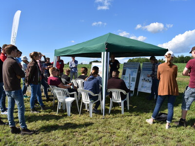 Feldtag Hamerstorf 2019