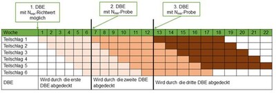 Schema zur Erstellung von Düngebedarfsermittlungen im satzweisen Gemüseanbau (Beispiel)