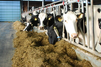 Am Futtertisch des LBZ - © Franziska Paul Am Futtertisch des LBZ