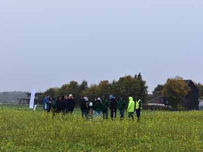 Feldtag in Wehnen am 28.10.24