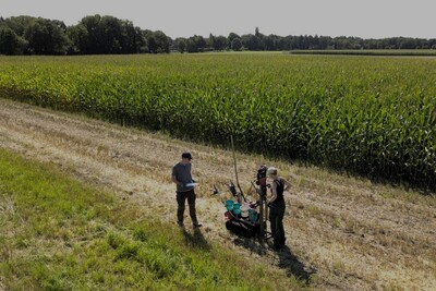 Nmin-Probennahme nach der Ernte von Winterroggen, Versuch 649