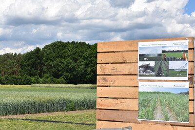 Feldtag Hamerstorf 2019