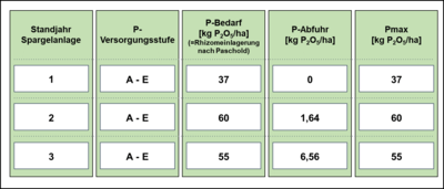 Rhizomeinlagerung im 1.-3. Standjahr