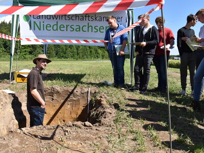 Feldtag Hamerstorf 2019