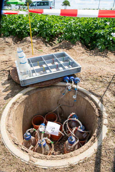 Feldtag Wasserschutz und Düngerecht Schwüblingsen 2025 - © Christopher Hanraets Feldtag Wasserschutz und Düngerecht Schwüblingsen 2025