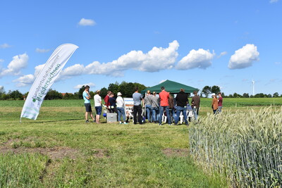 Feldtag Hamerstorf 2019