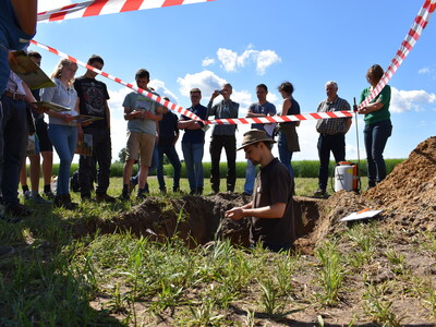 Feldtag Hamerstorf 2019