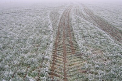 Frost: Der Boden muss am Tag des Aufbringens völlig frostfrei sein. Wenn der Boden in beliebiger Tiefe Frost aufweist ist einen Düngung nicht erlaubt! - © Jelko Djuren Frost: Der Boden muss am Tag des Aufbringens völlig frostfrei sein. Wenn der Boden in beliebiger Tiefe Frost aufweist ist einen Düngung nicht erlaubt!