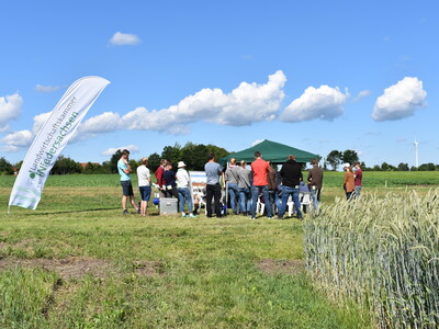 Feldtag Hamerstorf 2019