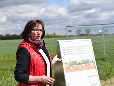 Dr. Dagmar Matuschek, bei der Landwirtschaftskammer Niedersachsen stellvertretende Leiterin des Fachbereichs Versuchswesen Pflanze, erläuterte den Anwesenden Aufbau und Umsetzung des Feldversuchs.