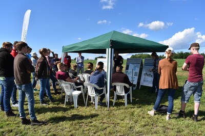 Feldtag Hamerstorf 2019