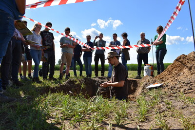 Feldtag Hamerstorf 2019